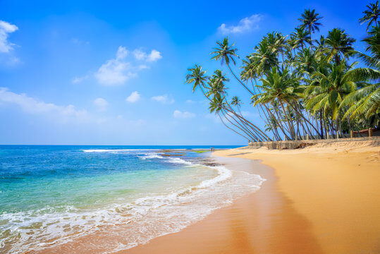South Coast Beaches
