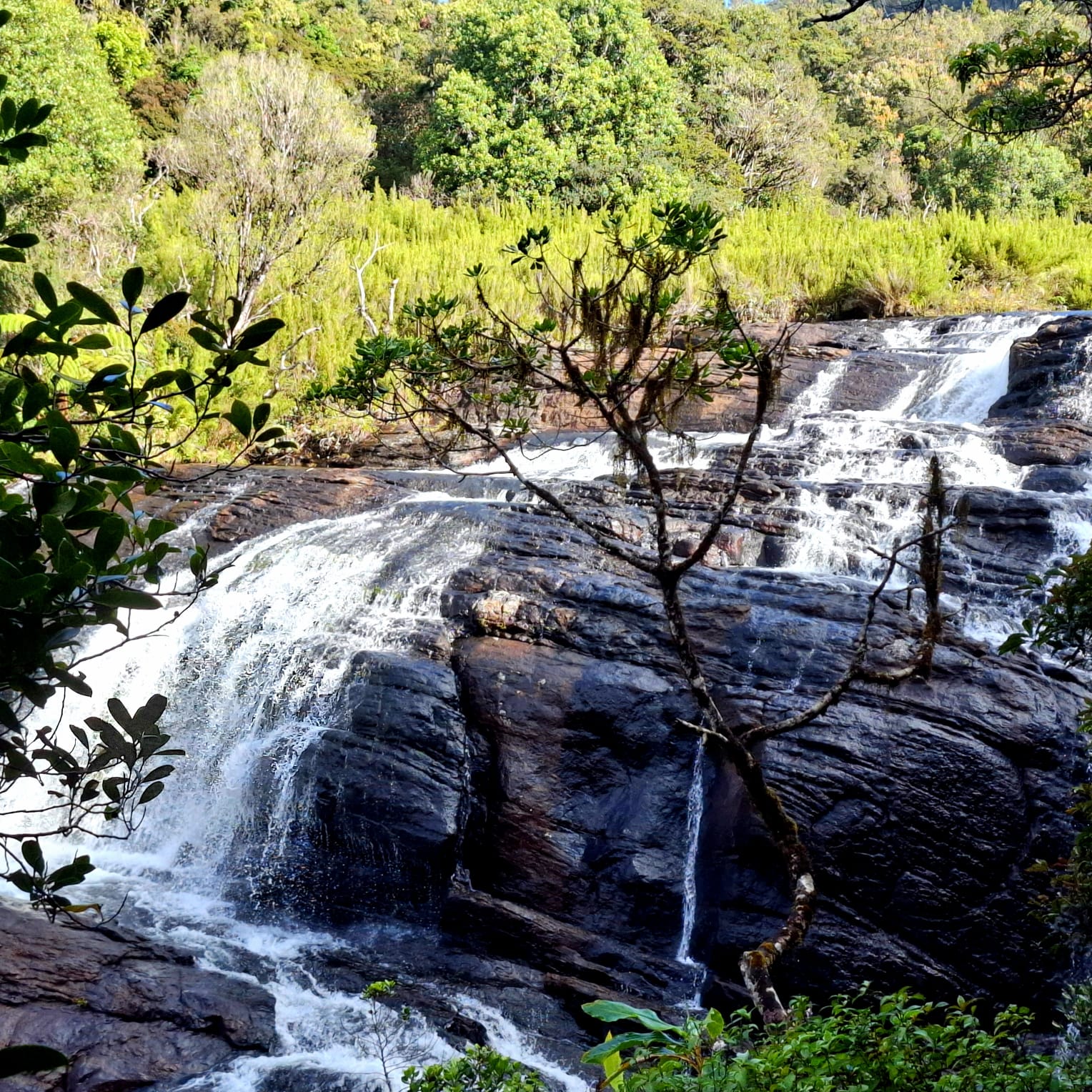 Grand Sri Lanka Adventure - 14 Days